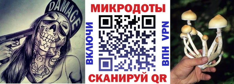 где можно купить наркотик Гороховец Галлюциногенные грибы Cubensis